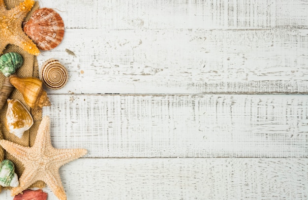 Photo fish star and sea shells on the wooden background