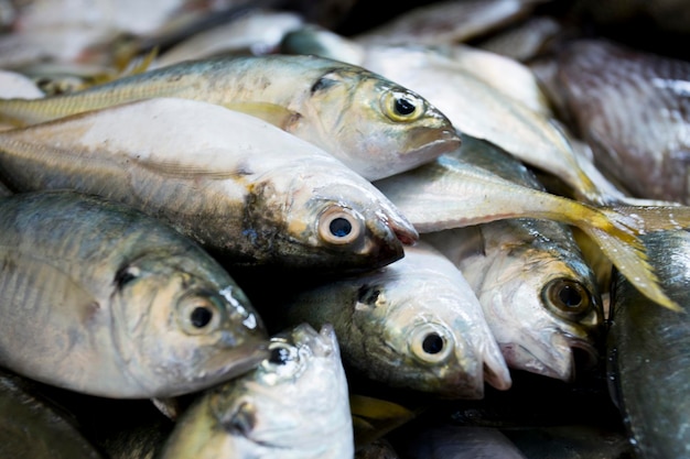 Premium Photo | Fish in a street food stall in the city of Bangkok in