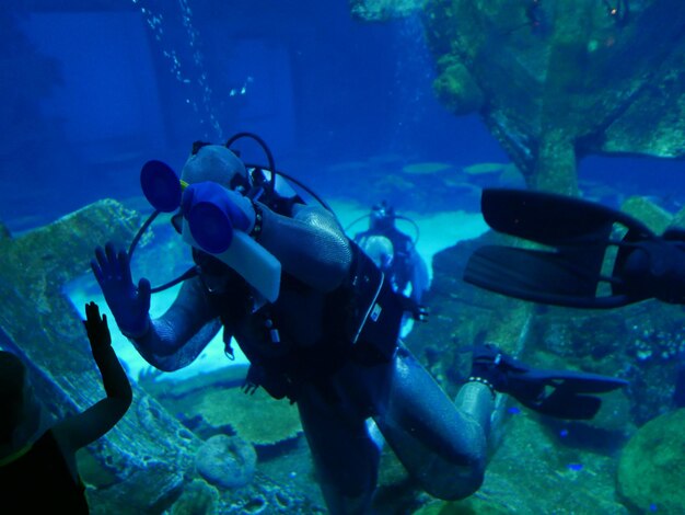 Photo fish swimming in sea