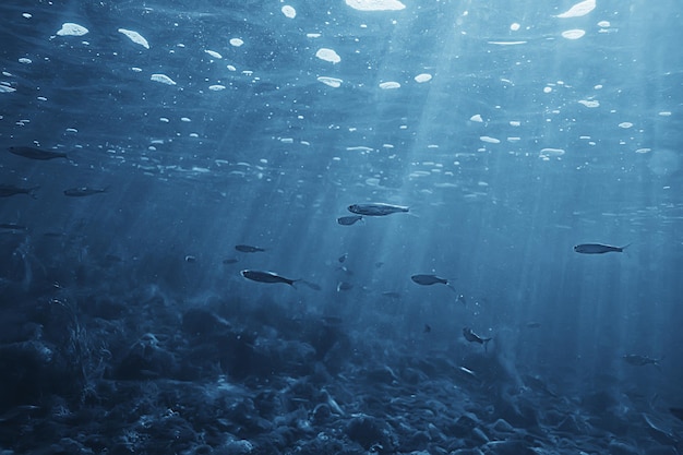 魚の水中浅瀬、抽象的な背景自然海の海の生態系