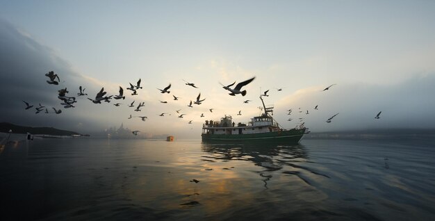 fish in the water pelican in flight many ducks flying by the boat in the style of exact