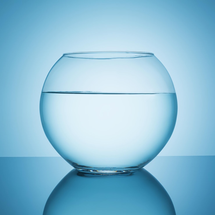 Photo a fishbowl with water on blue background. taken in studio with a 5d mark iii.