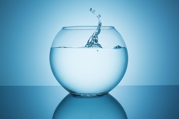 A fishbowl with water splash impact on blue background. Taken in Studio with a 5D mark III.