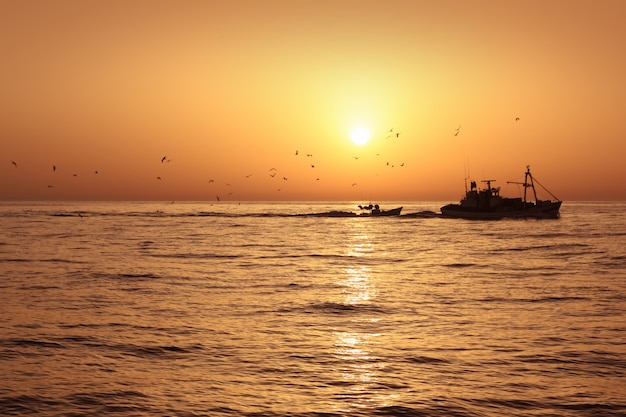 Fisherboat professional sardine catch fishery sunrise