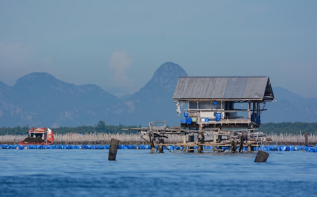 Foto azienda agricola del pescatore nel golfo della tailandia.