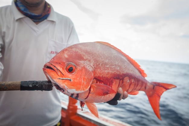 fisherman holding red fish on the fishing boat