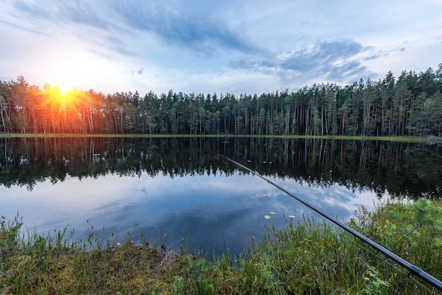 Рыбак ловит рыбу на лесном озере