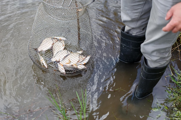 Fisherman lifts a fish net Metal mesh cage is installed in the river water near the shore