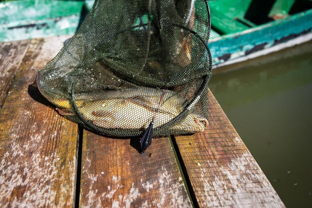 釣り竿を持った漁師が川岸で回転する網でパイクパーチの鯉を釣る野生の自然カントリーレストの概念