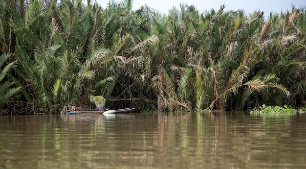 Рыбак на деревянной лодке в зоне обширного природного скопления