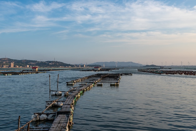 Fishery farms under the blue sky and on the blue sky