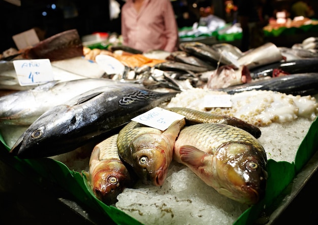 사진 판매 를 위해 시장 에 있는 물고기