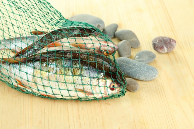 Fishes in fishing net on wooden background