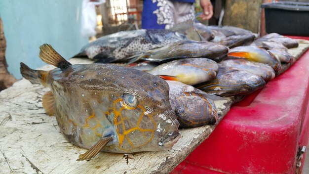 Fishes for sale in market