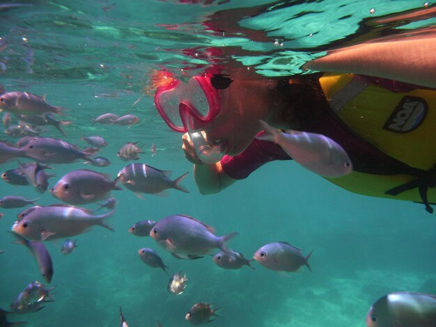 Foto pesci che nuotano in mare