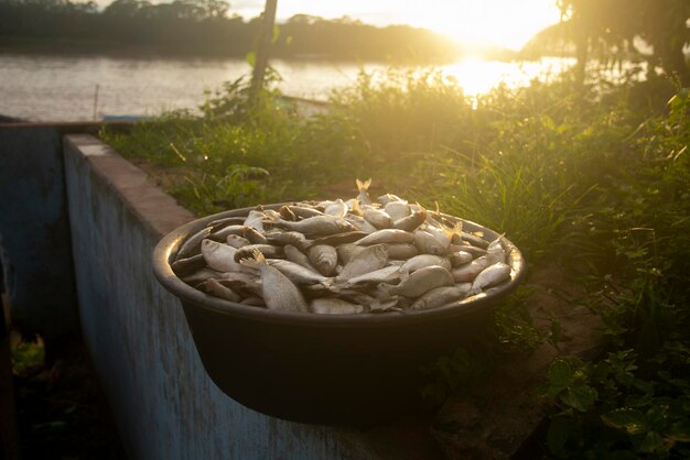 Photo fishing activity in the huallaga river in yurimaguas city in the peruvian jungle