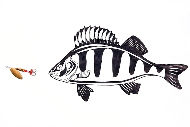 白い背景の魚の絵画による釣り