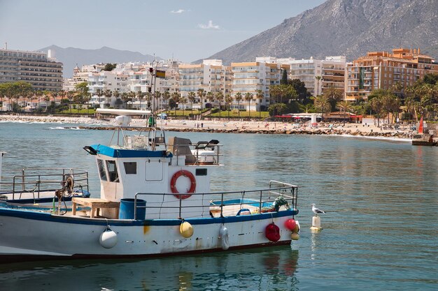 Fishing boat docked in port