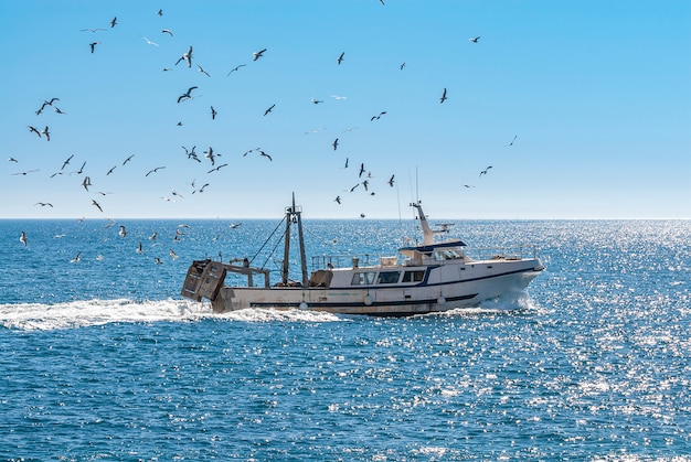 Fishing boat sailing with gulls flying over it