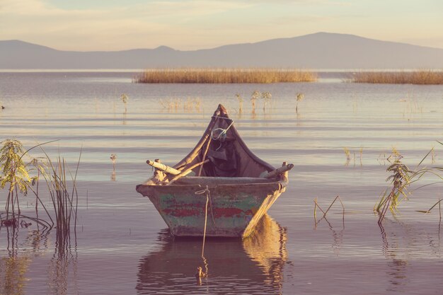 The fishing boats in Mexico