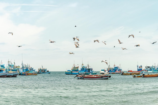 Рыбацкие лодки и пеликаны в море