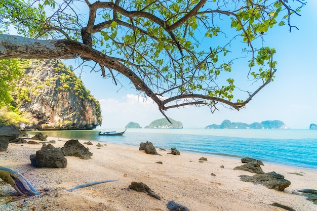 Fishing boats in the sea in Phuket Thailand