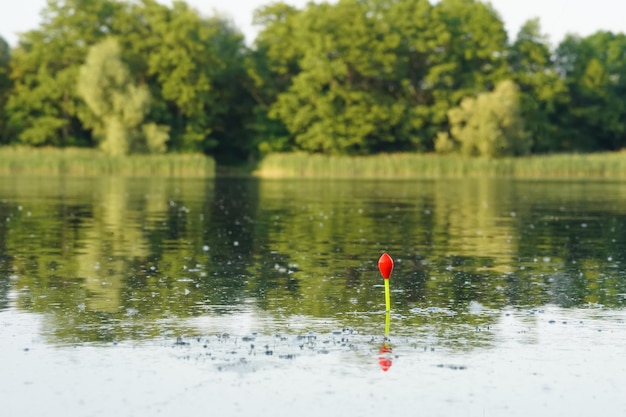 Fishing bobber floating on the lake Fishing float in the lake Fishing in the forest