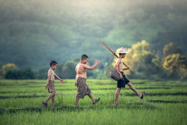 Fishing Boy in Rice Field