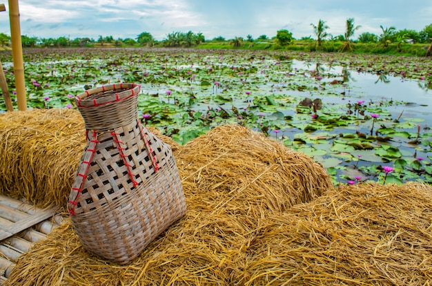 釣りクリール、竹のバスケットは、ロータスの池で稲わらのバルコニーに魚を置く。