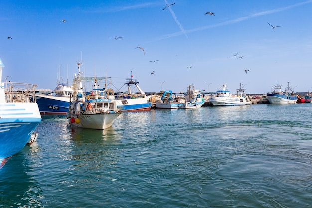 Fishing fleet in the port of motril in granada