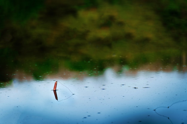 Fishing float in the river. fishing at dawn