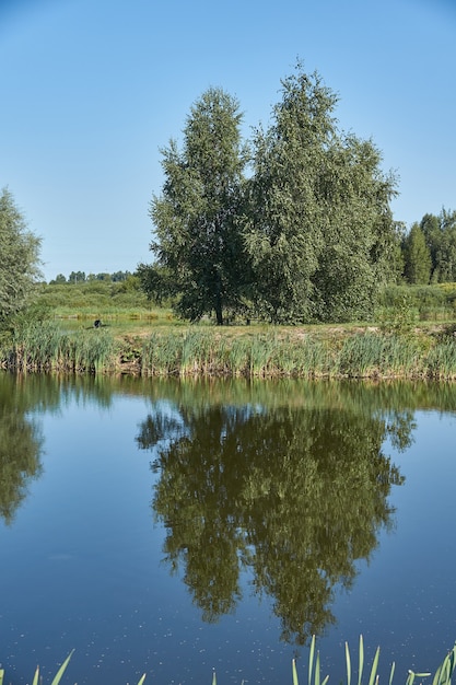 Рыбалка на озере. Отражение в воде. База отдыха. Август 2021 г.