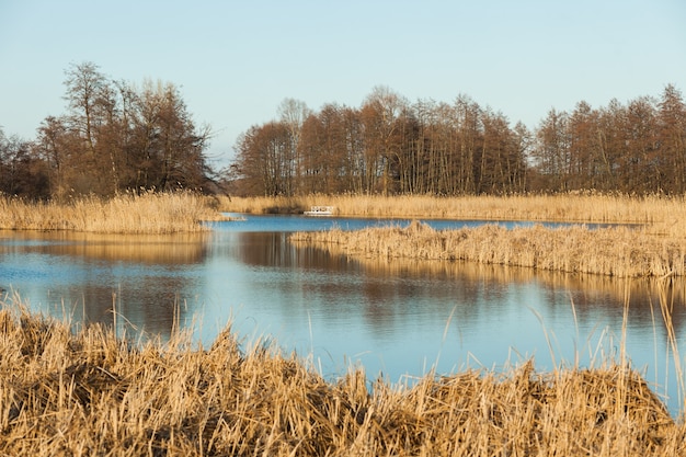 Fishing lake with blue water and reeds in autumn.