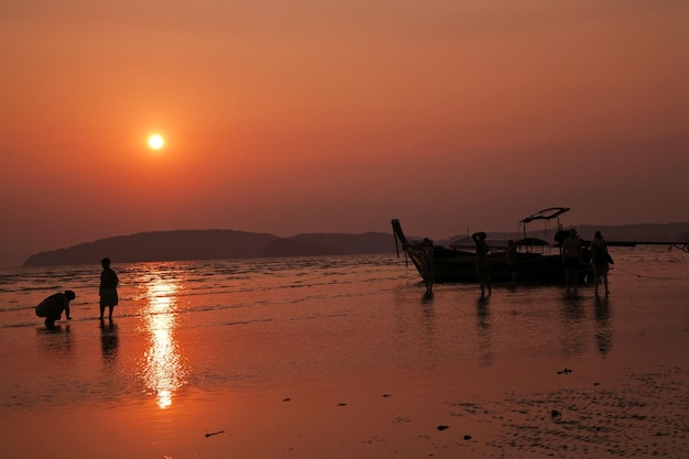 Fishing net on beach against sky during sunset