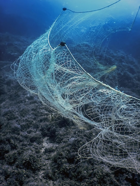 Premium Photo  A fishing net underwater fixed on the seabed