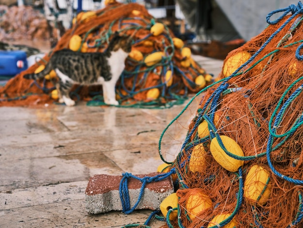 Fishing nets standing on the pier in the harbor