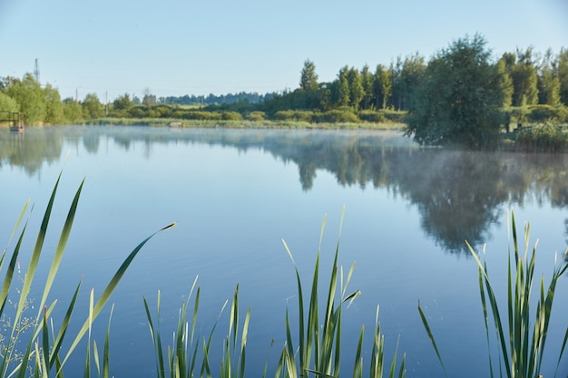 Фото Рыбалка на озере. отражение в воде. база отдыха. август 2021 г.