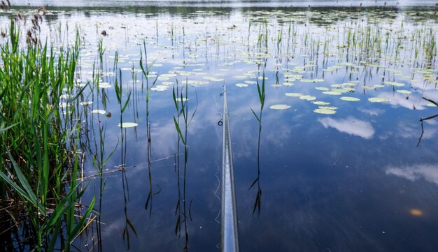 Fishing rod against the background of a beautiful lake with water lilies