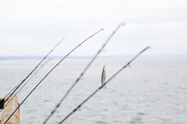 写真 空に照らして海で釣り竿を釣る