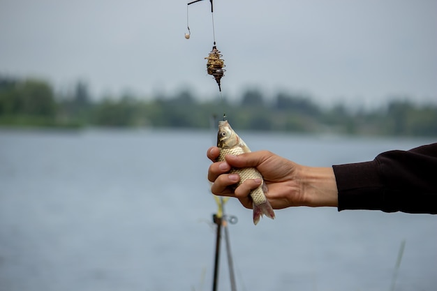 Primo piano della ruota della canna da pesca, uomo che pesca con una bellissima alba dietro di lui