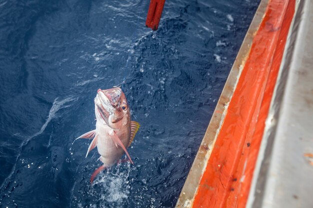 釣り合った砂浜と海からの引き上げ