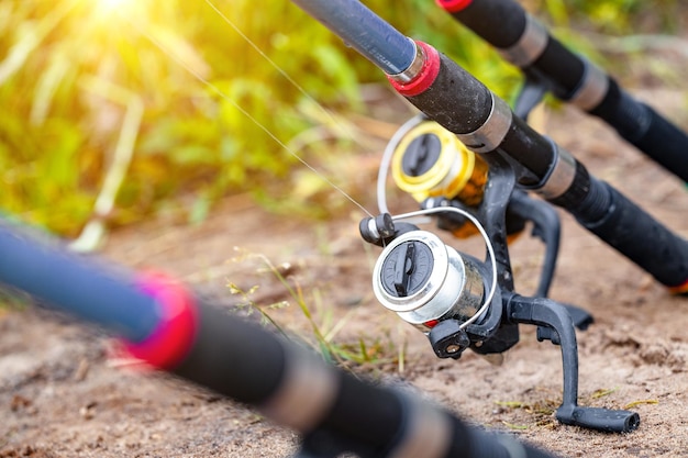 Fishing with rods on the lake summer fishing