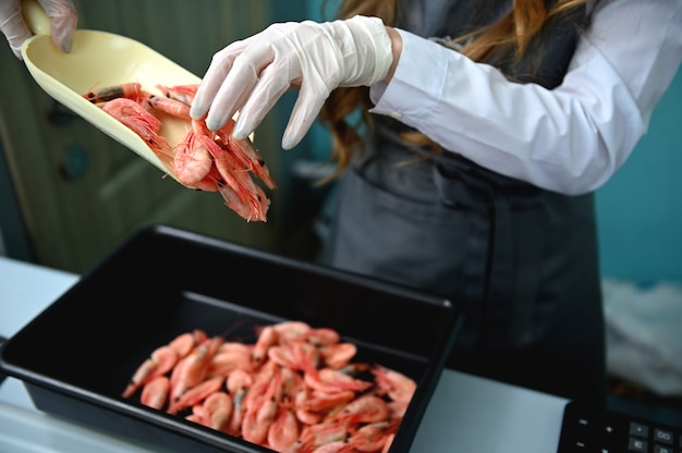 The fishmonger, vendor in fish department of a seafood market , stands behind the counter in a work apron and puts fresh frozen chilled red shrimp on a tray. close-up