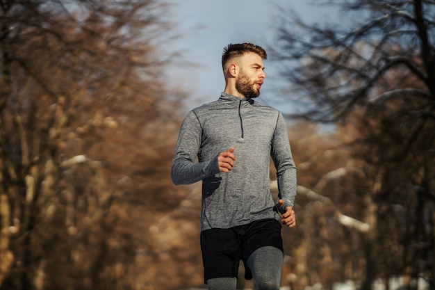 Fit runner running in forest at sunny snowy winter day. Outdoor fitness, cardio exercises, winter fitness