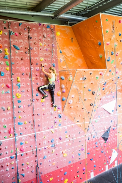 Fit woman rock climbing indoors