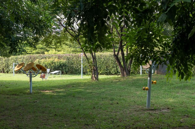 公園の芝生の上のフィットネス機器