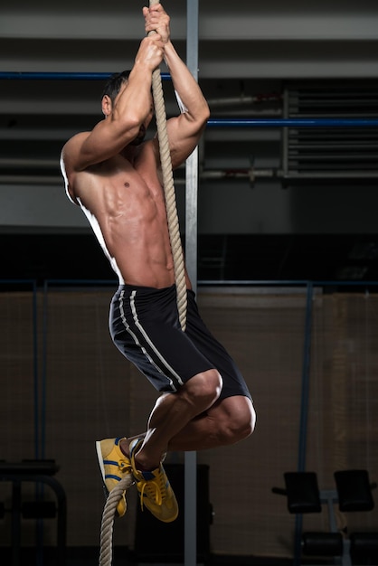 Fitness Rope Climb Exercise In Fitness Gym Workout