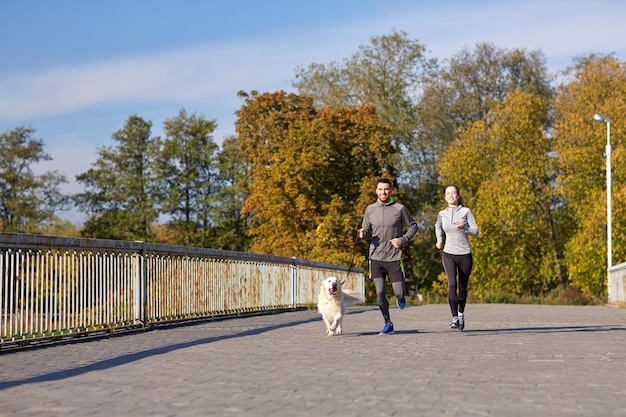 fitness, sport, mensen en lifestyle concept - gelukkig stel met hond die buiten rent