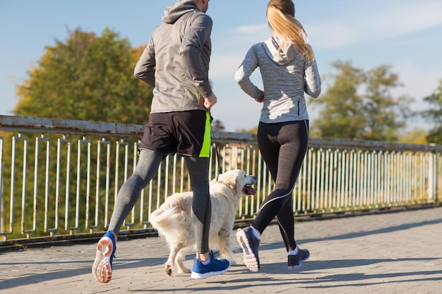 フィットネス、スポーツ、人々、ジョギングのコンセプト – 屋外で走る犬とのカップルの接写