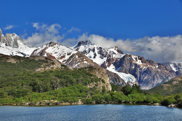Fitz Roy mount dichtbij El Chalten in Patagonië Argentinië